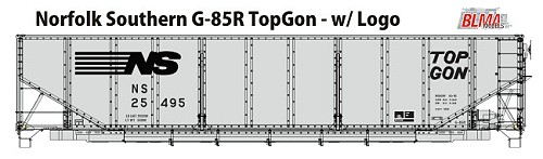 Norfolk Southern TopGon w/Logo